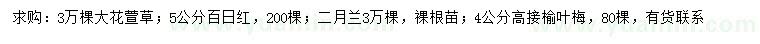 求购大花萱草、百日红、二月兰等