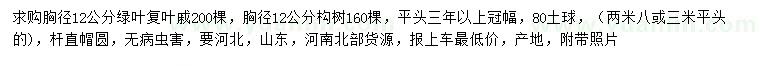 求购胸径12公分绿叶复叶槭、构树