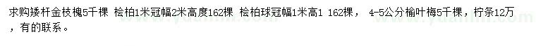 求购矮杆金枝槐、桧柏、桧柏球等