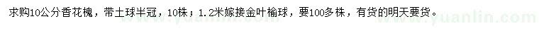 求购10公分香花槐、1.2米嫁接金叶榆球