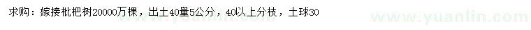 求购出土40量5公分嫁接枇杷树