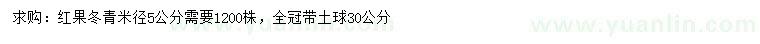 求购米径5公分红果冬青