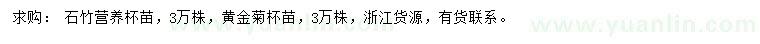 求购石竹、黄金菊营养杯苗