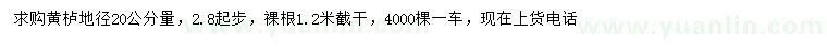 求购地径20公分量2.8公分以上黄栌