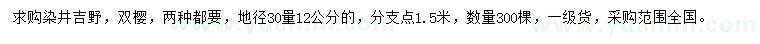 求购地径30公分量12公分染井吉野、双樱