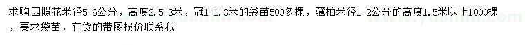 求购米径5-6公分四照花、1-2公分藏柏