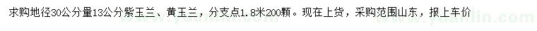 求购地径30公分量13公分紫玉兰、黄玉兰