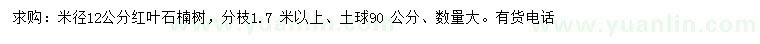 求购米径12公分红叶石楠树