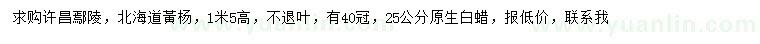 求购高1.5米北海道黄杨、25公分白蜡