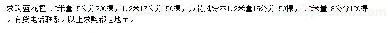 求购1.2米量15、17公分蓝花楹、黄花风铃木