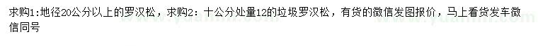 求购地径20公分以上、10公分量12公分罗汉松