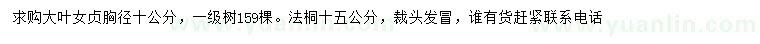 求购胸径10公分大叶女贞、15公分法桐
