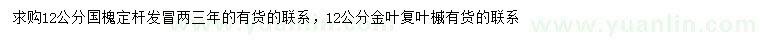 求购12公分国槐、金叶复叶槭