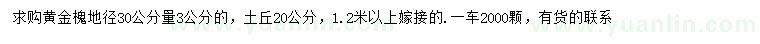 求购地径30公分量3公分黄金槐