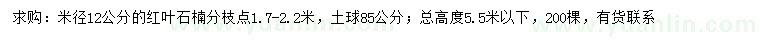 求购米径12公分红叶石楠