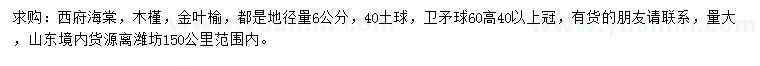 求购西府海棠、木槿、金叶榆