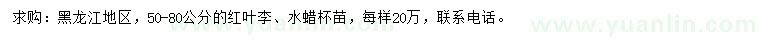 求购50-80公分红叶李、水蜡