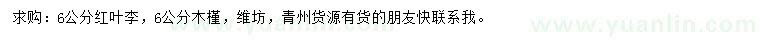 求购6公分红叶李、木槿