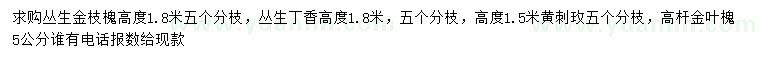 求购丛生金枝槐、丛生丁香、黄刺玫等