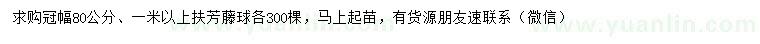 求购冠幅80、100公分以上扶芳藤球