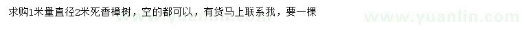 求购求购1米量直径2米死香樟树