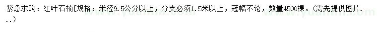 求购米径9.5公分以上红叶石楠