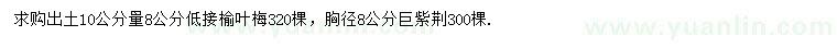 求购出土10公分量8公分低接榆叶梅、8公分巨紫荆