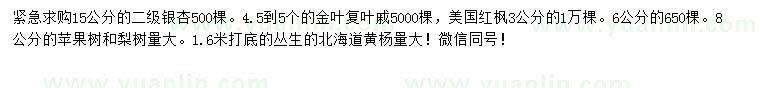 求购银杏、金叶复叶槭、美国红枫等