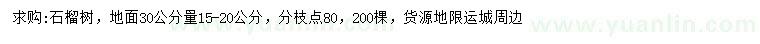 求购30公分量15-20公分石榴树