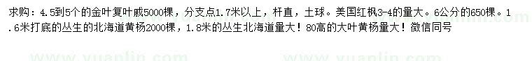 求购金叶复叶櫪、美国红枫、北海道黄杨等