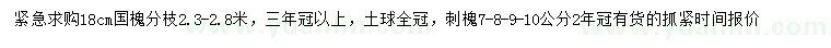 求购18公分国槐、7、8、9、10公分刺槐