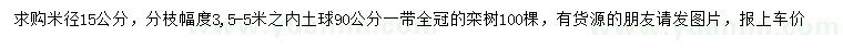 求购米径15公分栾树