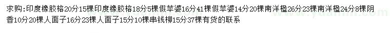 求购印度橡胶榕、假苹婆、南洋楹等