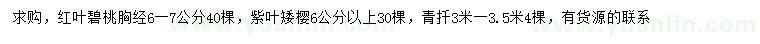 求购红叶碧桃、紫叶矮樱、青扦