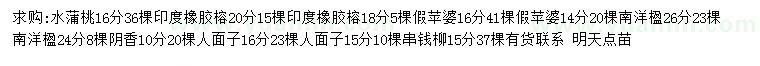 求购水蒲桃、印度橡胶榕、假苹婆等