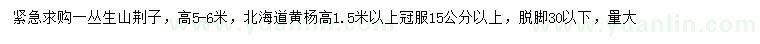 求购高5-6米丛生山荆子、高1.5米以上北海道黄杨