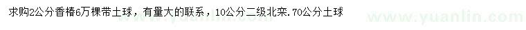 求购2公分香椿、10公分北栾