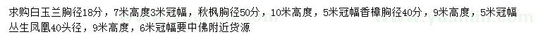 求购白玉兰、秋枫、香樟等