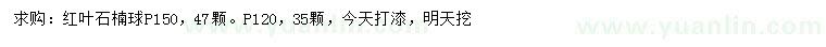 求购冠幅120、150公分红叶石楠球