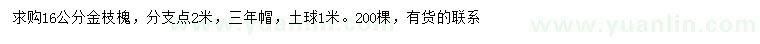 求购16公分金枝槐