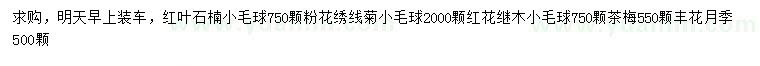 求购红叶石楠小毛球、粉花绣线菊小毛球、红花继木小毛球等