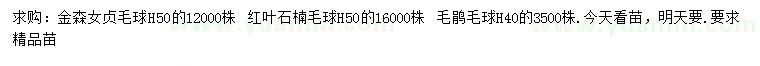 求购金森女贞毛球、红叶石楠毛球、毛鹃毛球