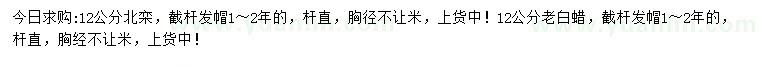 求购胸径12公分北栾、老白蜡