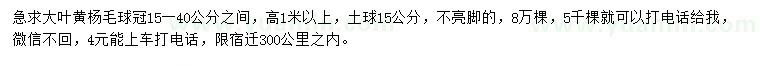 求购高1米以上大叶黄杨毛球