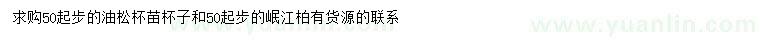 求购50公分起步油松、岷江柏