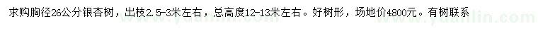 求购胸径26公分银杏