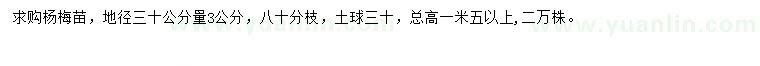 求购地径30公分量3公分杨梅苗