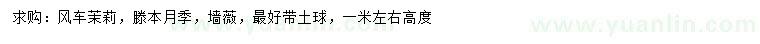 求购风车茉莉、滕本月季、墙薇