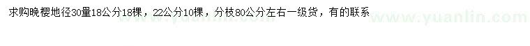 求购地径30公分量18、22公分晚樱