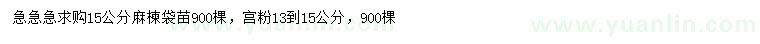 求购15公分麻楝、13-15公分宫粉